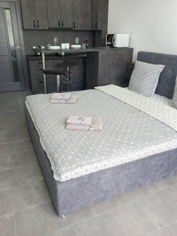 Luxury Central Apartment Uzjhorod Exteriör bild